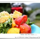 프란다스의 개 이미지