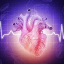 핏클러스터 이미지