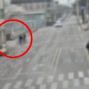 황금고블린 이미지