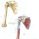 약산애한방병원 이미지