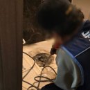 방배로27길 27 이미지