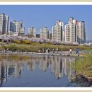 풍경스케치 이미지