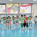 용인대 한미태권도 이미지