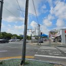 21세기종합동물병원 이미지