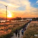 하늘공원 이미지