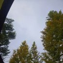 수레의산자연휴양림 | 자연휴양림 야영장 중 가장 넓었던 수레의산 국민여가캠핑장