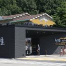 천곡황금박쥐동굴 이미지