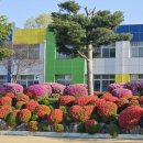 양신초등학교 이미지