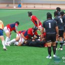 진해공설운동장 축구장 이미지