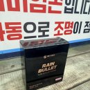 장마철 아이들 안전 대비 유리 발수코팅제 레인불렛, 테슬라 모델Y 셀프 세차용품 유리코팅제 후기