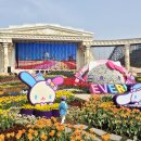 💜 대구 에버랜드 당일치기 후기 💜 &lt;삼성라이온즈 굿즈 팝업 / K-BUS / 에버랜드 리무진 버스 여행 &gt;