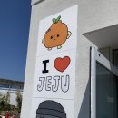 (주)제주럭키코리아 | 제주여행 최고심 팝업 ”오브젝트제주“ &amp; 런던베이글 방문 후기🍊🧡
