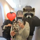 (주)레이넷 | 충분히 성숙해지는 중
