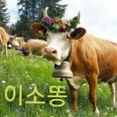 따꼬드림