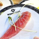 완산-63 | 전주 회전초밥 맛집 '미카도스시' 가성비로 시작했다가 폭주한 후기