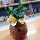 영주시장애인종합복지관1 이미지