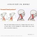 파인드 핏 이미지