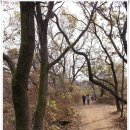이용우과수원 | [20111113]계양산 나들이(은지초교-헬기장-철탑4거리-목상동 솔밭-훈련장-은지초교) - 1부