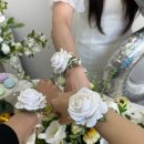 치치렌탈스튜디오 이미지