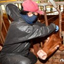 병은우사 이미지