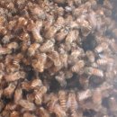 형우농장 이미지