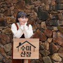 수미 이미지