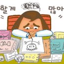 스터디튜터 이미지