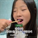 노아유치원 | 닥터노아 대나무 유아 칫솔 어린이 치약 추천 후기