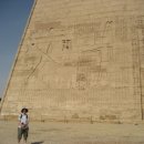 메디킹스 이미지