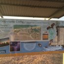 다윈스톤 이미지