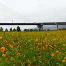 구리한강시민공원 이미지