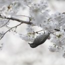 남구-081 이미지