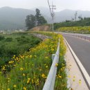 써미트CC Daum카페