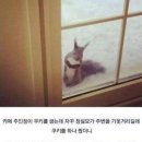 기웃