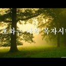 나와 함께 하시는 여호와(시편 23편) 이미지