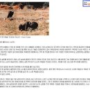 세계촌