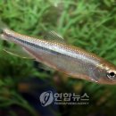 민물고기전시관 이미지
