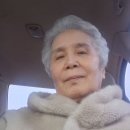 속파란 늦서리태 팥 메주콩 땅콩 판매합니다 이미지
