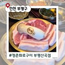 산곡 | 부평 산곡동맛집 청춘화로구이 부평산곡점｜N번째 방문후기