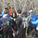 송악초교 이미지