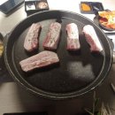 돼지대학교 이미지