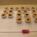 홀리데이브리즈 이미지