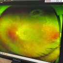 배곧서울안과의원 이미지