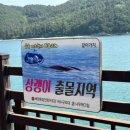 백야바다