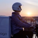 초록홀딩스 이미지