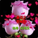 60~70대 부부의 정 이미지