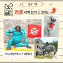 소망자동차서비스 | 【HO.정보】Fe01 세계 최대 정크아트 재생 복합문화공간 방문 후기