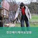 천안메디케어