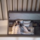 은하수무인텔 이미지