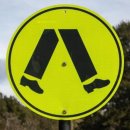 횡단보도 앞 이미지